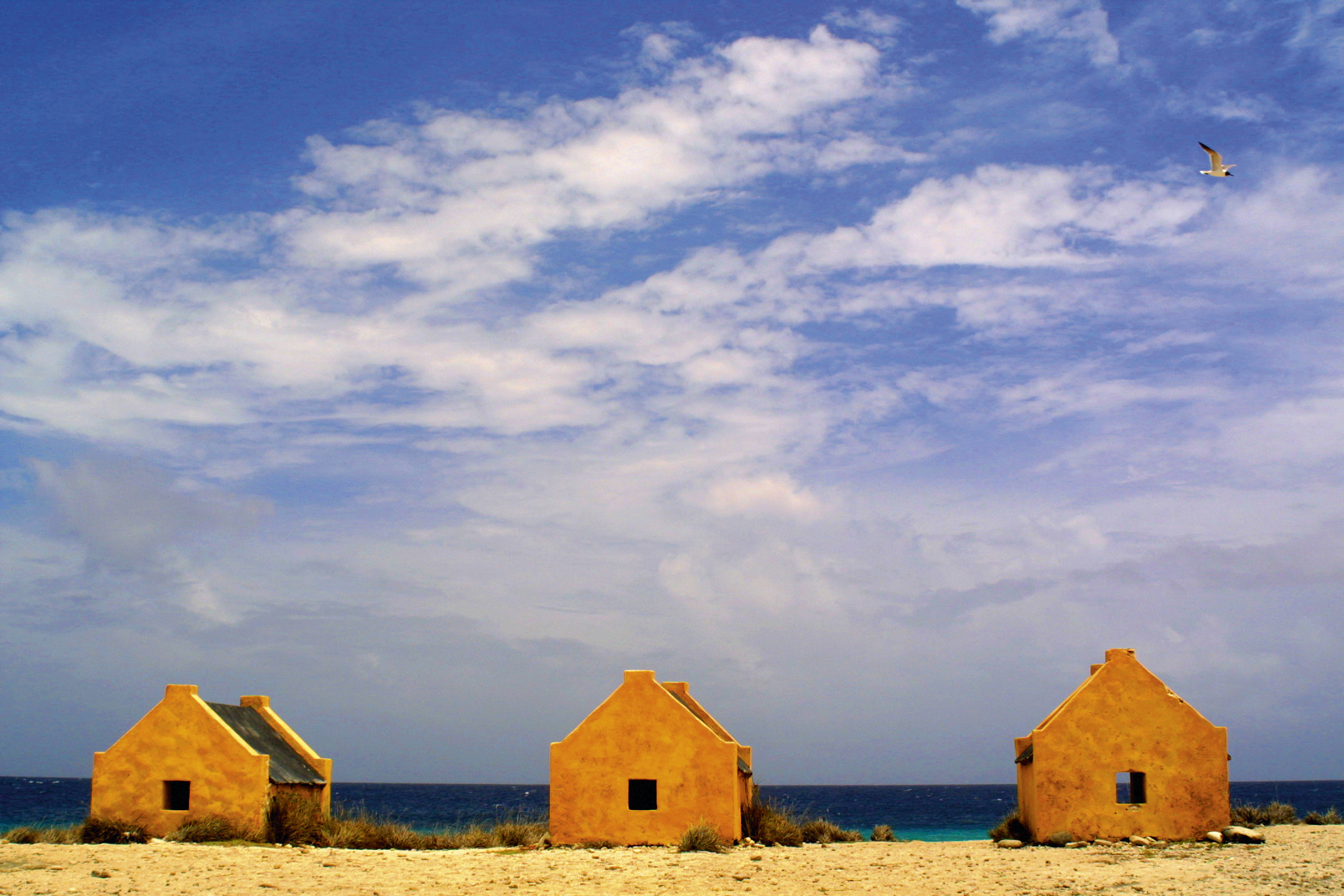 Photo paysage composition